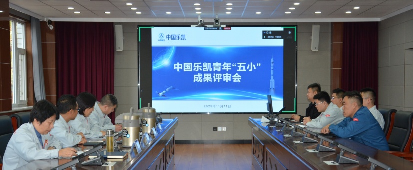 激揚青春智造力！中國樂凱團委召開青年&ldquo;五小&rdquo;成果評審會